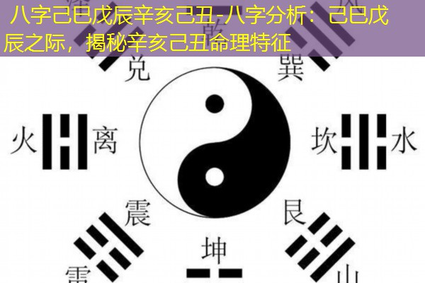  八字己巳戊辰辛亥己丑-八字分析：己巳戊辰之际，揭秘辛亥己丑命理特征