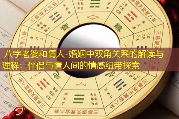  八字老婆和情人-婚姻中双角关系的解读与理解：伴侣与情人间的情感纽带探索