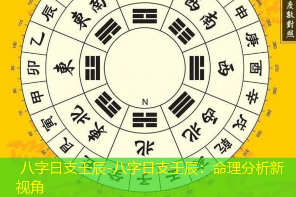  八字日支壬辰-八字日支壬辰：命理分析新视角