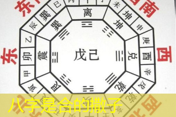  八字是合的撒子