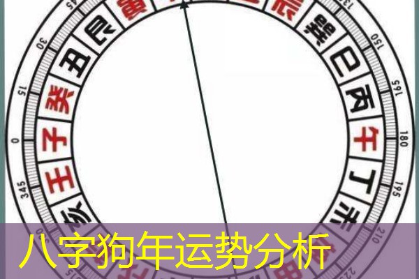  八字狗年运势分析