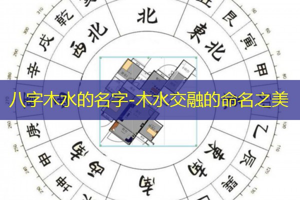  八字木水的名字-木水交融的命名之美