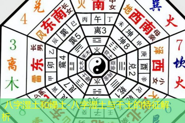  八字湿土和燥土-八字湿土与干土的特征解析