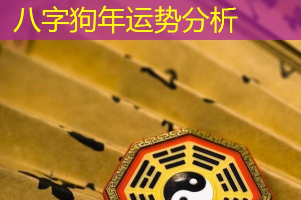  八字狗年运势分析
