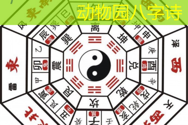  动物园八字诗