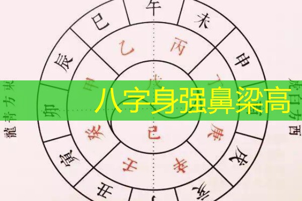  八字身强鼻梁高