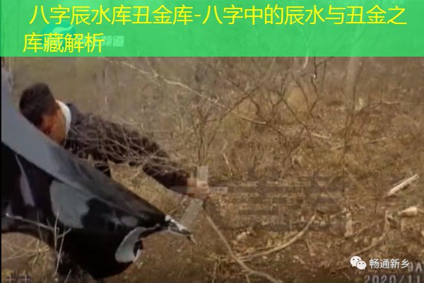  八字辰水库丑金库-八字中的辰水与丑金之库藏解析