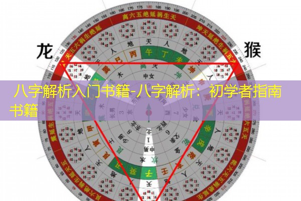  八字解析入门书籍-八字解析：初学者指南书籍