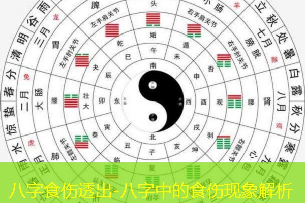  八字食伤透出-八字中的食伤现象解析