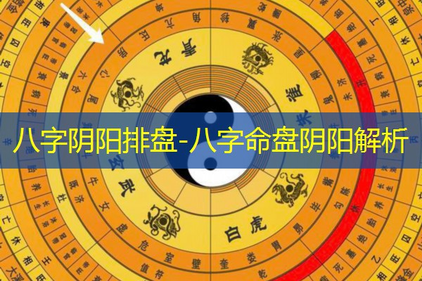  八字阴阳排盘-八字命盘阴阳解析