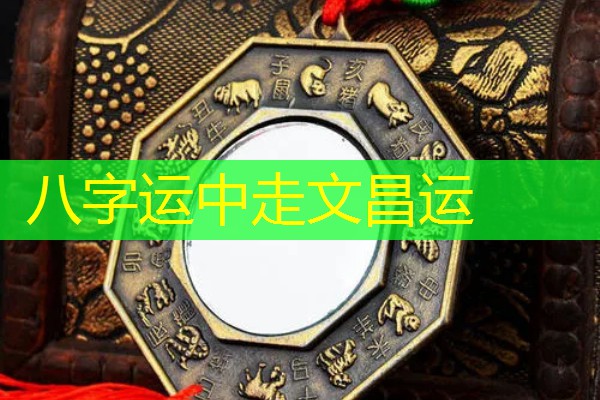 八字运中走文昌运