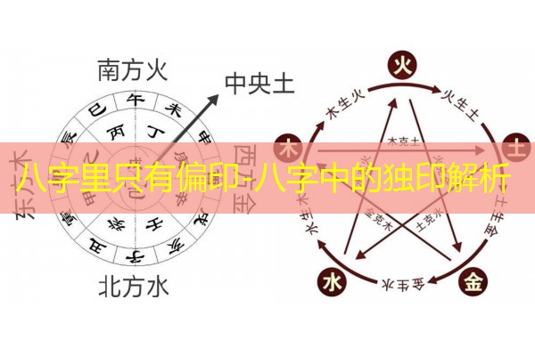  八字里只有偏印-八字中的独印解析