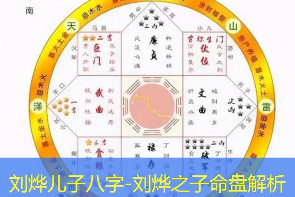 刘烨儿子八字-刘烨之子命盘解析