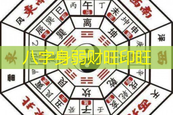  八字身弱财旺印旺