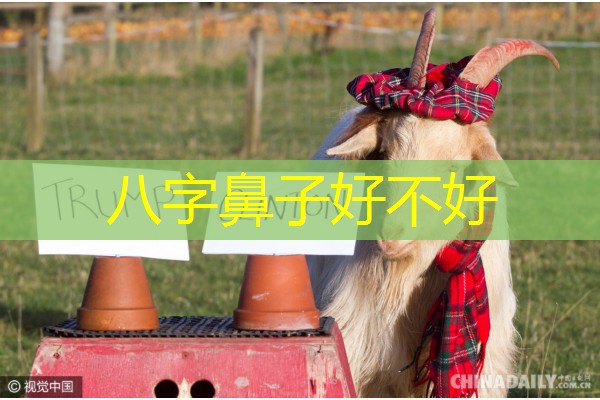  八字鼻子好不好