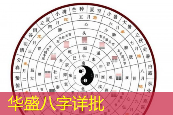  华盛八字详批